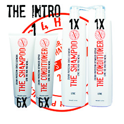 BITS4HAIR "THE SHAMPOO" & "THE CONDITIONER" * THE INTRO 1 *